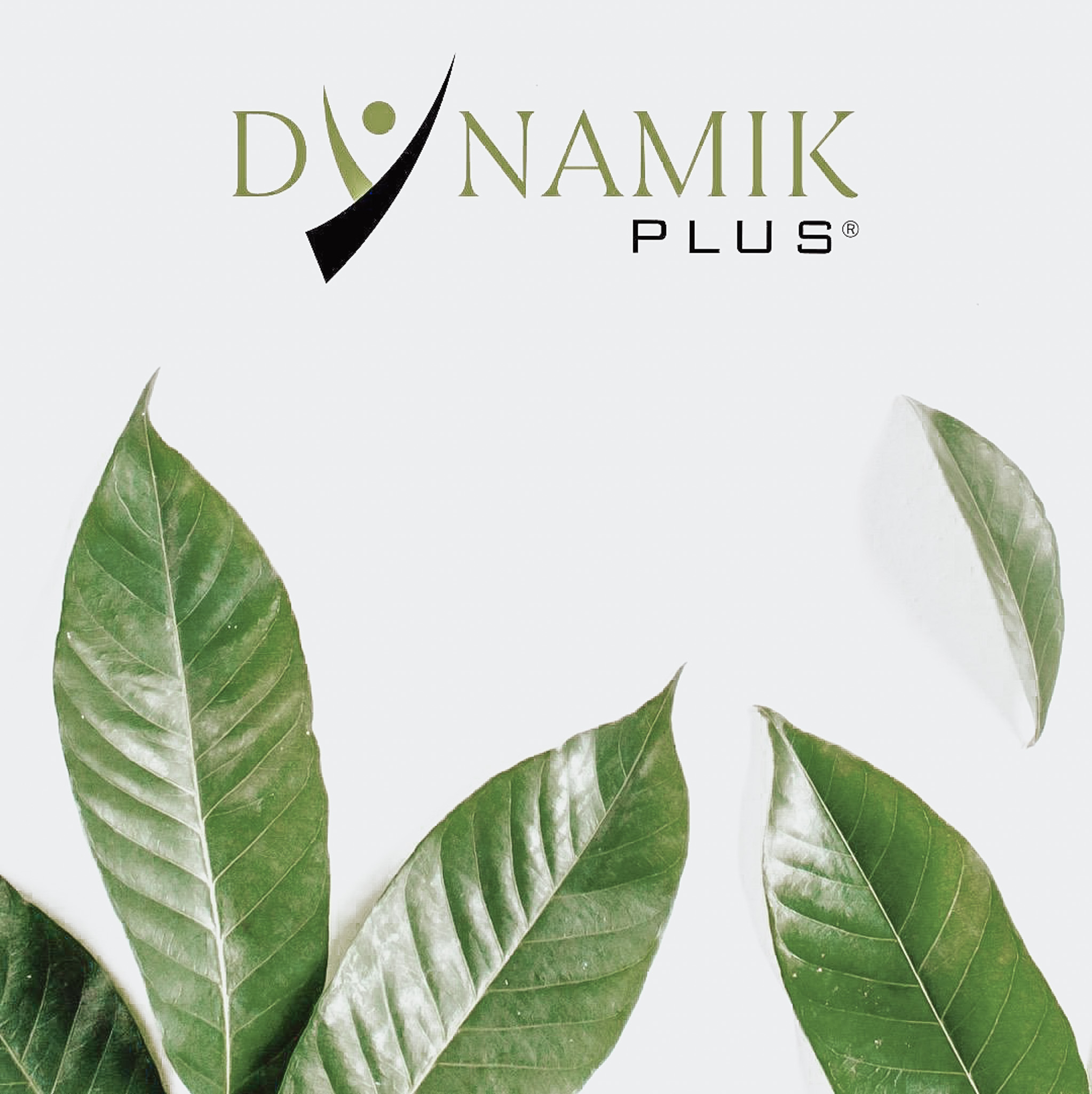 Dynamik Plus - natürliche und bioverfügare Nahrungsergänzungsmittel der Premiumklasse, hergestellt in Deutschland. Ganzheitliche Gesundheits- & Ernährungsberatung Die Glückstrainerin Claudia Petzel, Hamburg.