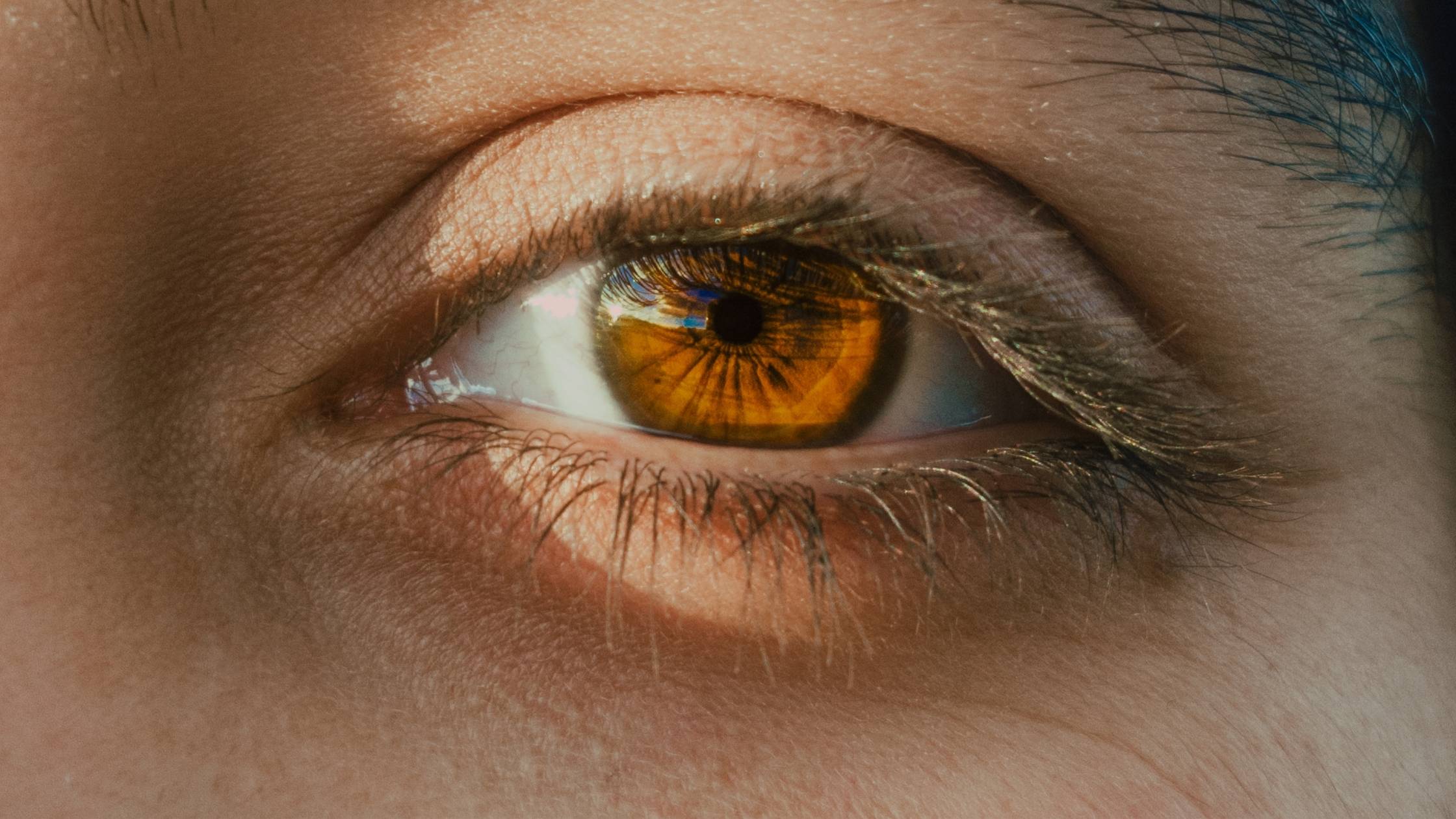 Brennende Augen bei Rosacea: Warum ein Augenarztbesuch so wichtig ist Aktuelle Studienlage. Claudia Rönsch, die Glückstrainerin, ganzheitliche Gesundheits- & Ernährungsberaterin, Hamburg